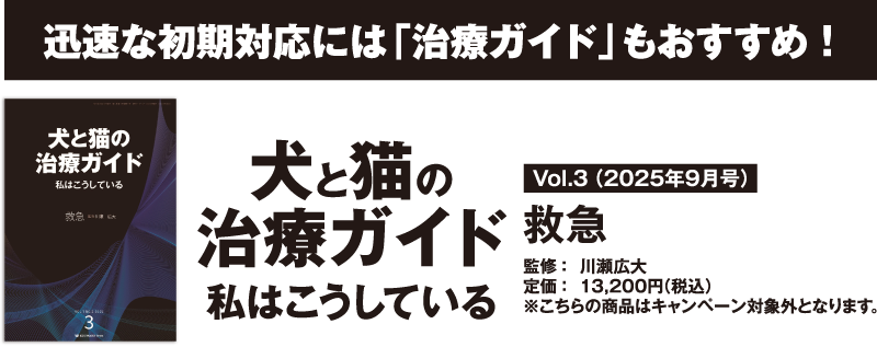 犬と猫の治療ガイド