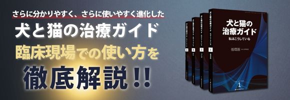 治療ガイド攻略