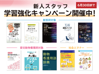 新人スタッフ学習強化