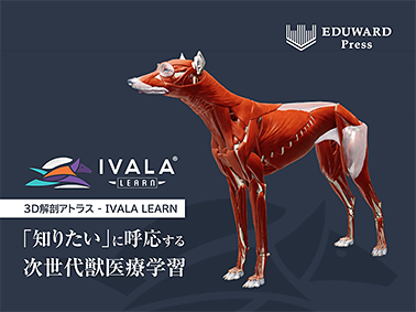 IVALA LEARN